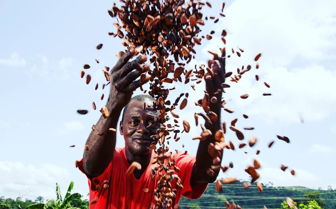 Bitter overleven voor cacaoboeren, zoete winsten in het Noorden