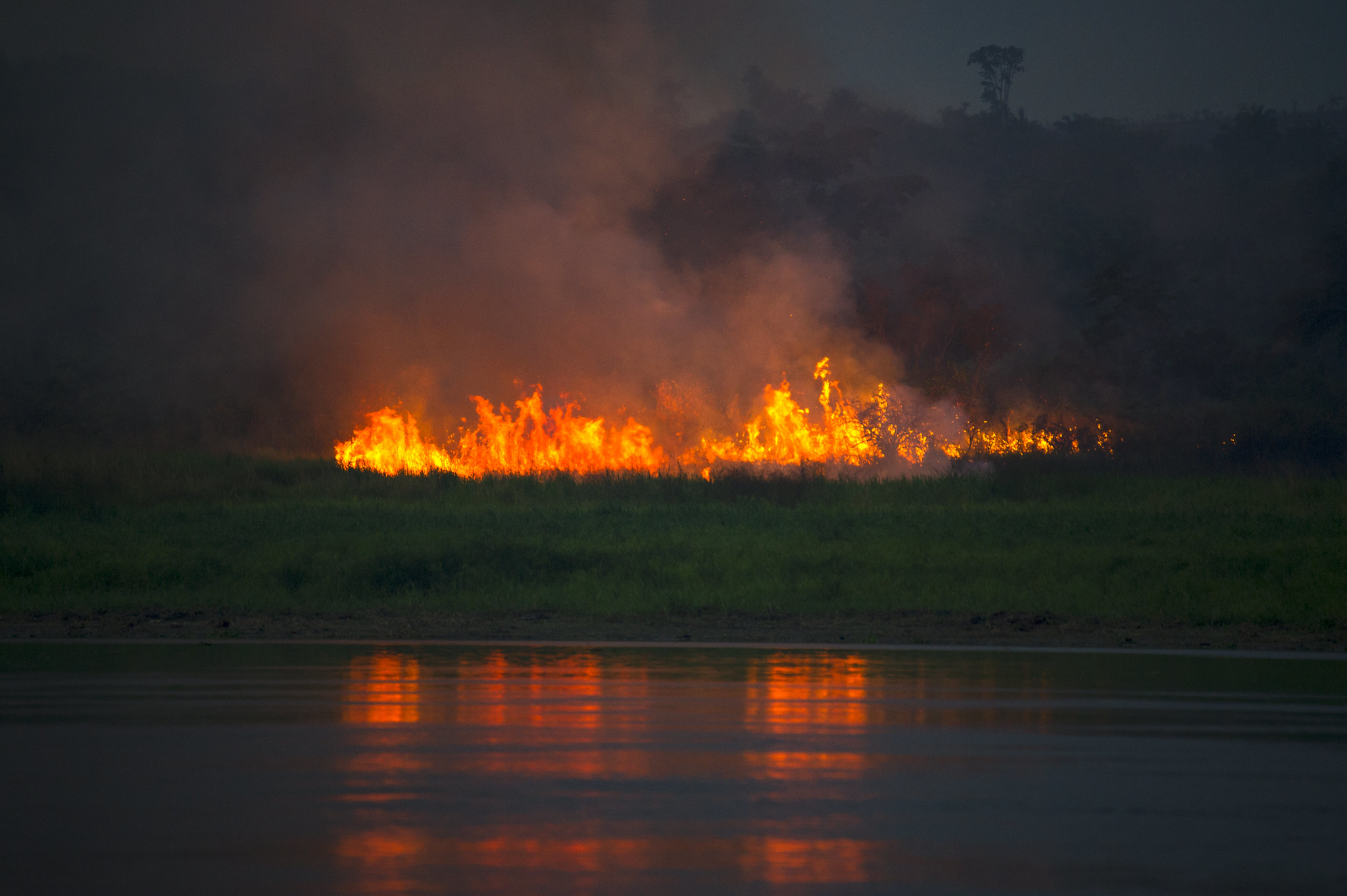 Bosbranden in Afrikaanse regenwouden verdubbeld