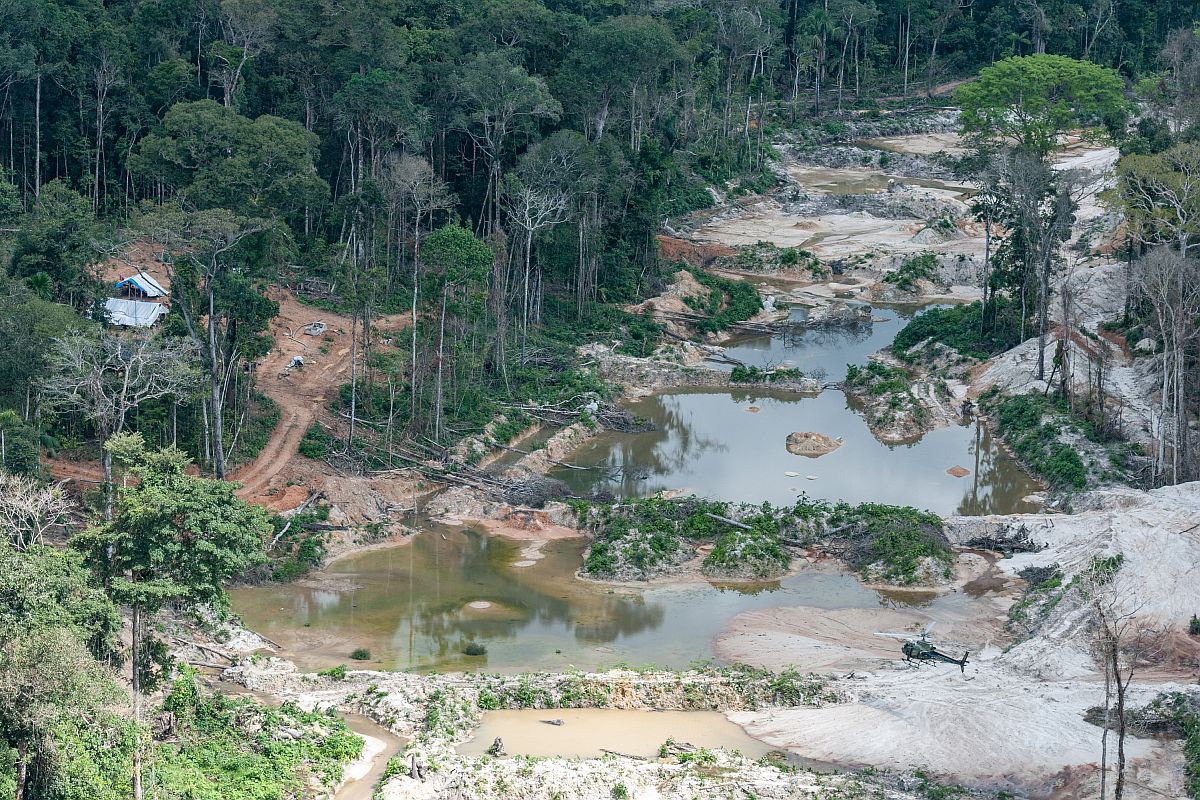 Illegale goudwinning in het Amazonegebied geeft malaria vrij baan