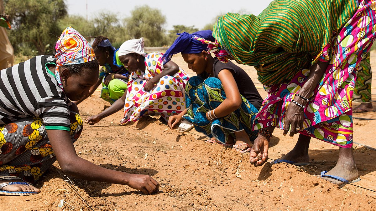 ‘Groene Muur’ tegen verwoestijning in Afrika eindelijk uit de startblokken