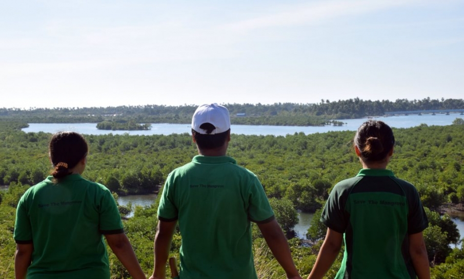 Nieuwe mangrovebossen aan de kust van Myanmar neutraliseren tonnen CO2