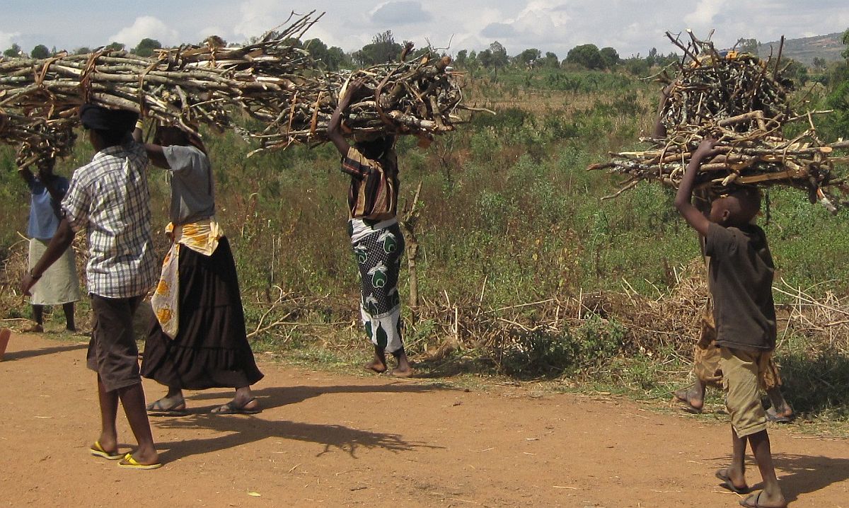 Belgisch ontwikkelingsagentschap krijgt eerste opdracht van VN-klimaatfonds: droogtebestrijding  in Rwanda