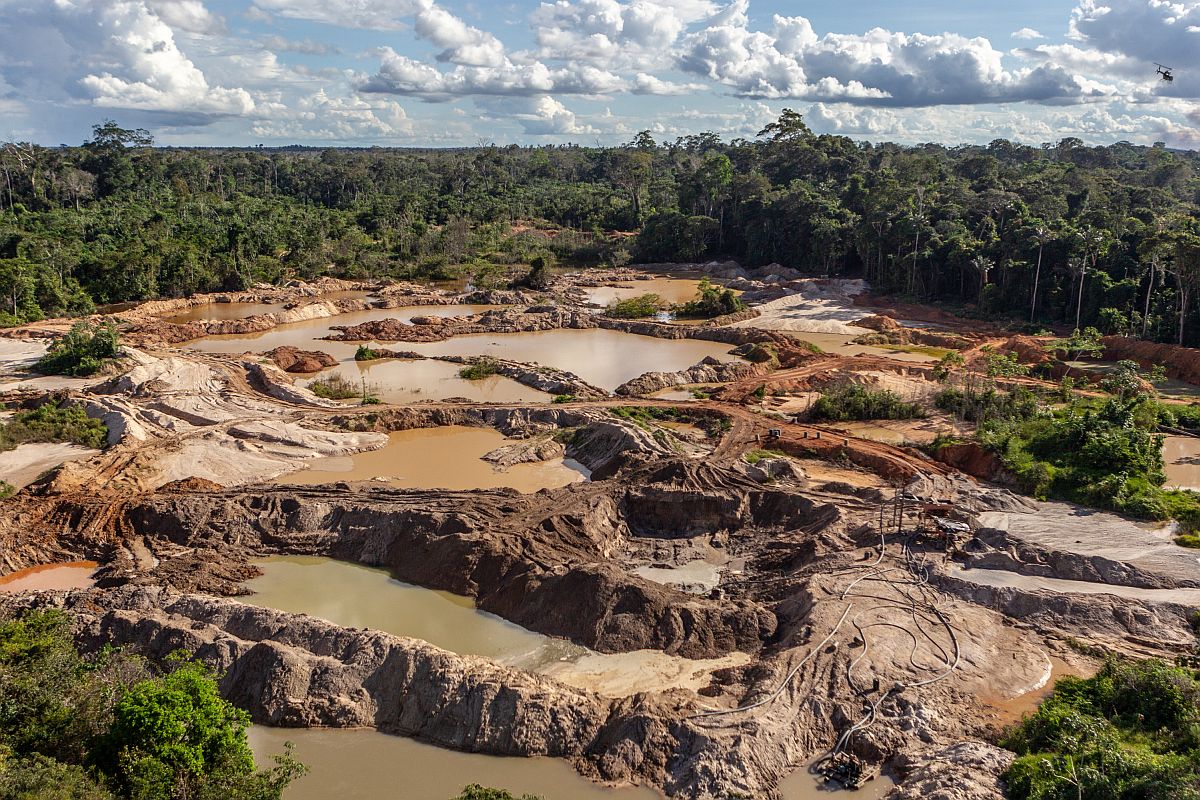 Dood en ontbossing: hoe de cocaïnehandel de Amazone treft