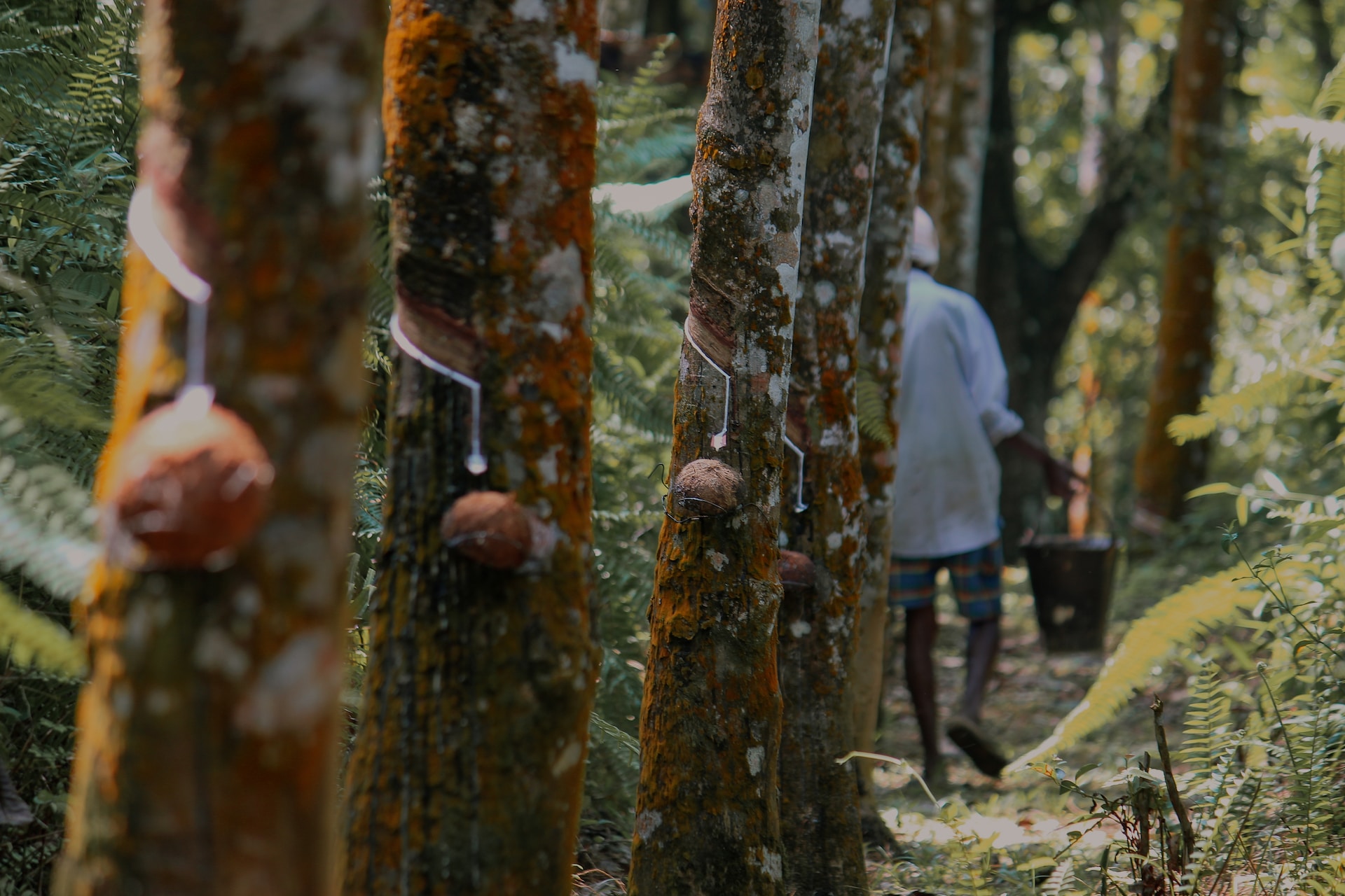 Belgisch-Luxemburgse palmoliegroep in nauwe schoentjes na besteld onderzoek