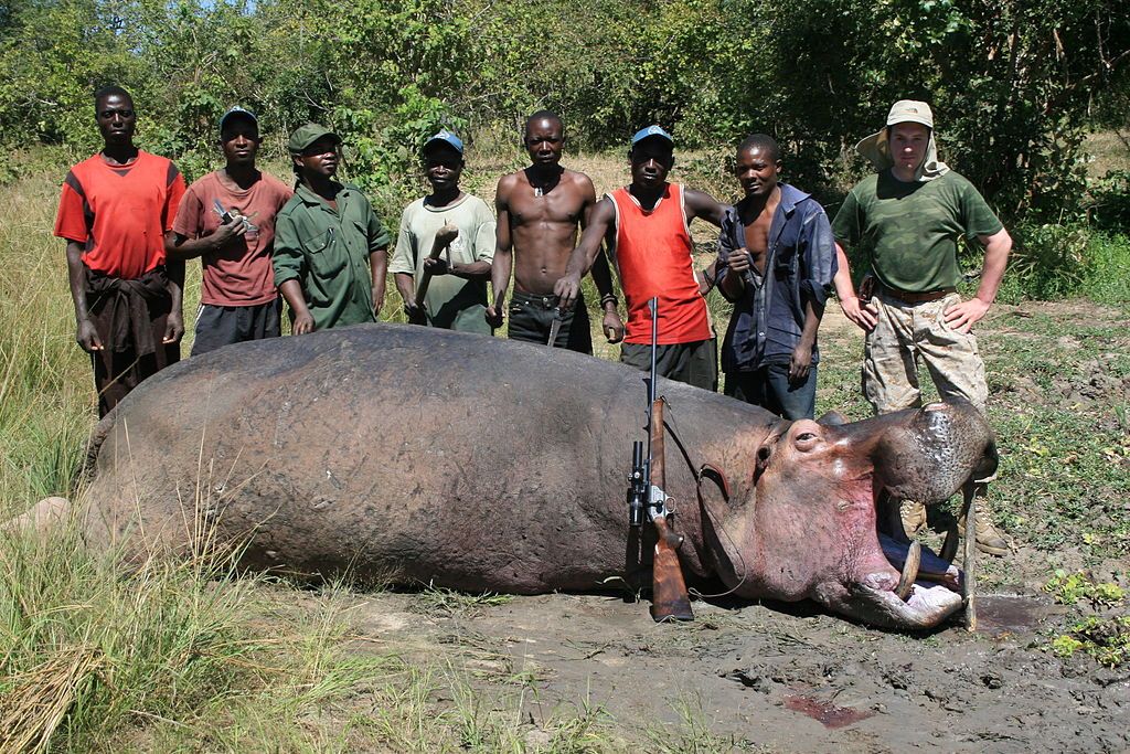 Zambia heft verbod op jacht weer op