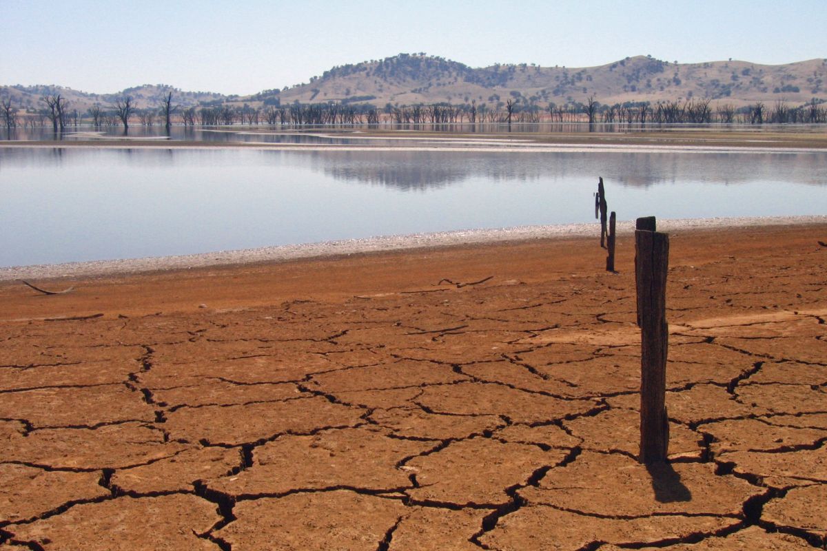 Wat Zuidelijk Afrika kan leren van andere landen over droogte