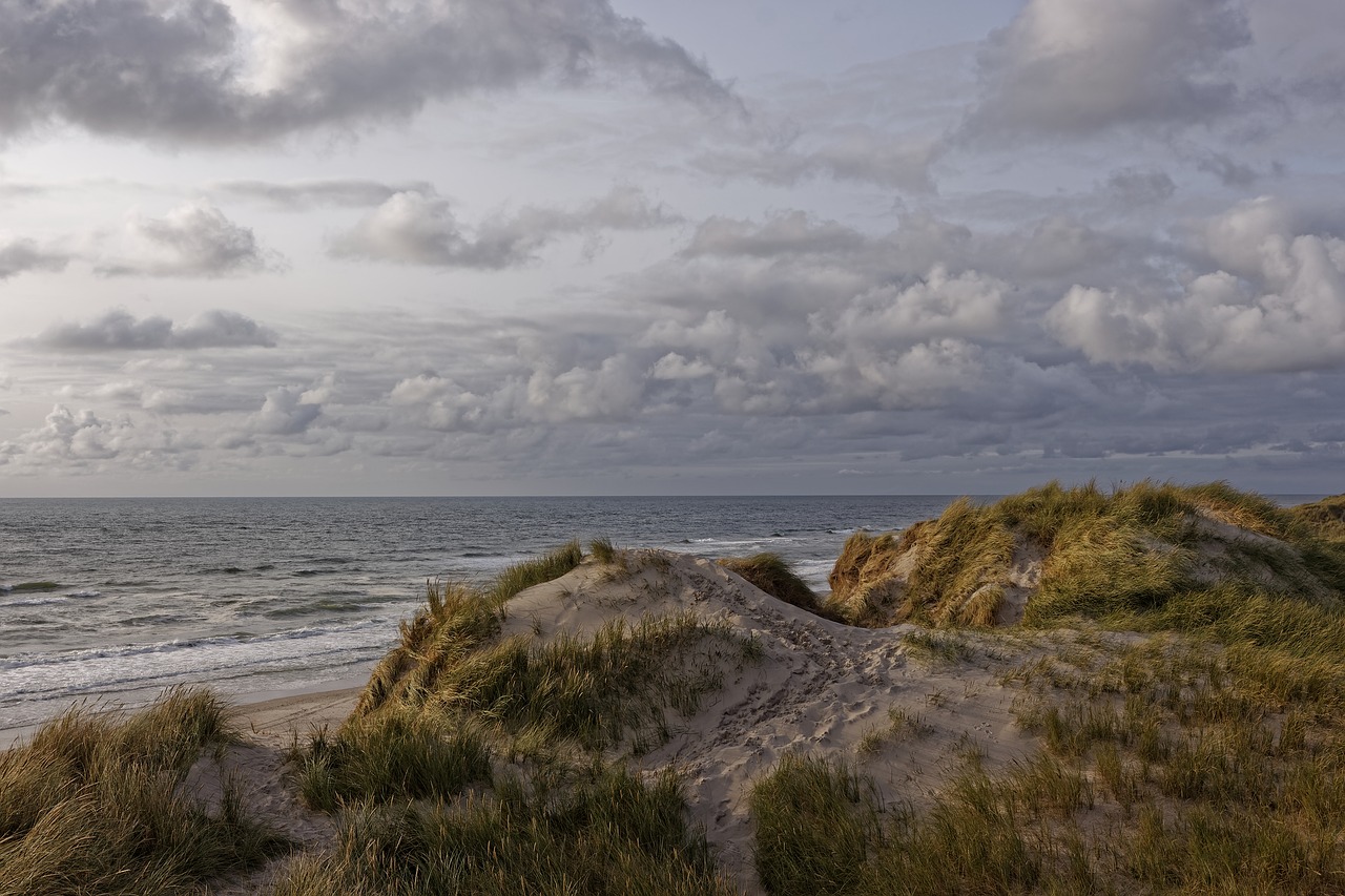 Burgeronderzoek bevestigt: klimaat doet Noordzee veranderen