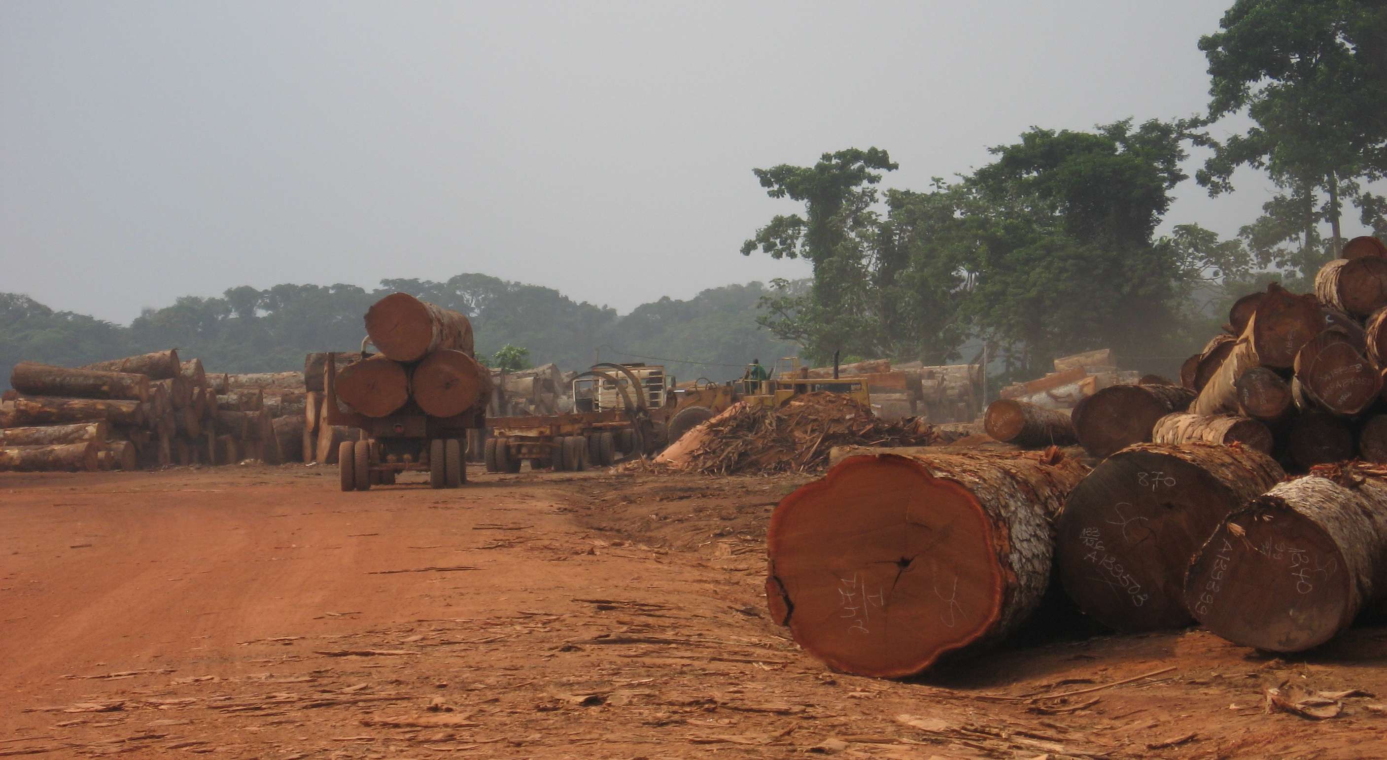 Ontbossing Congobekken kan klimaatverandering lokaal met helft versterken