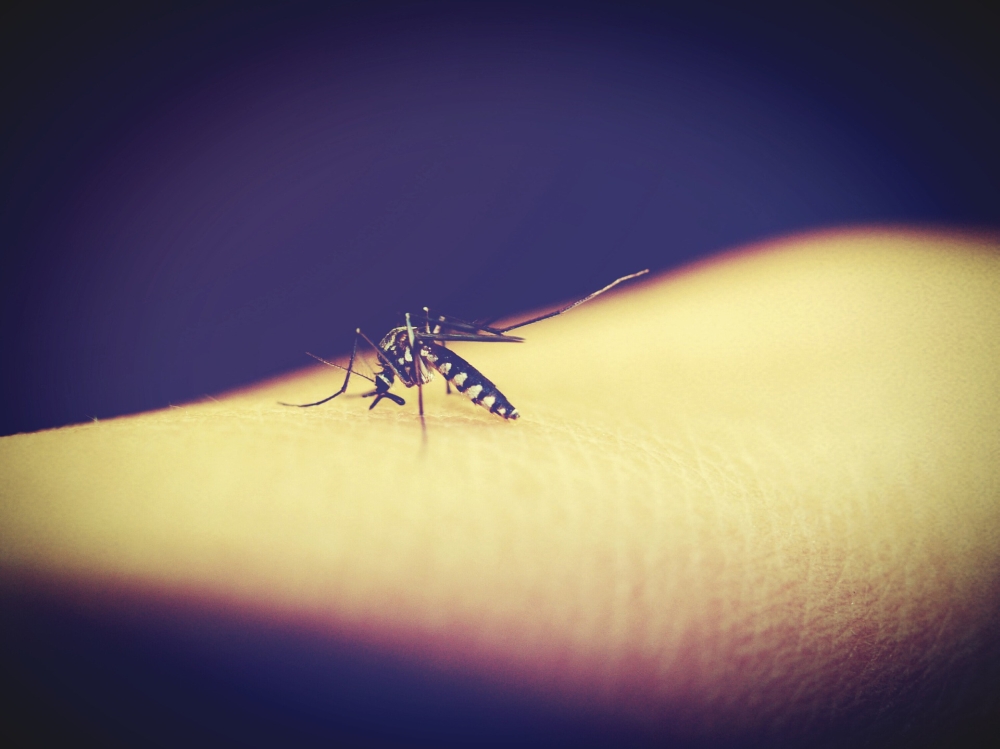 Zuidelijk Afrika heeft malaria toch nog niet uitgeroeid