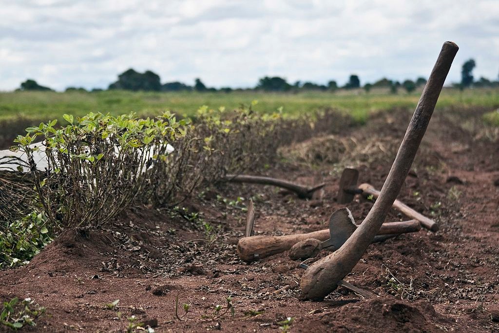 Armoede en klimaatverandering vergen dezelfde strijd in Malawi