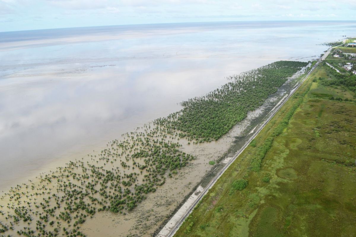 Guyana wil deel van de klimaatfinanciering voor behoud mangrovebossen