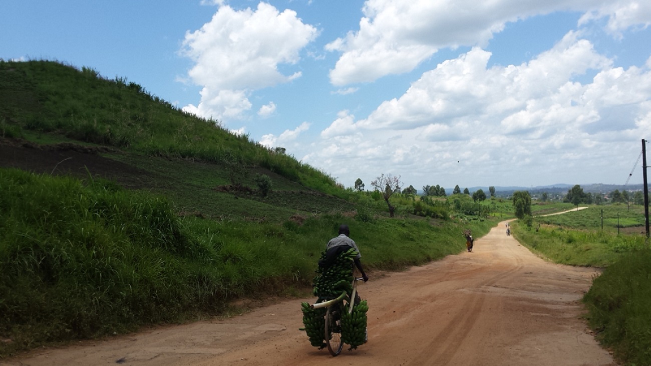 Strijden tegen de grenzeloze boomkap in vruchtbaar Oeganda
