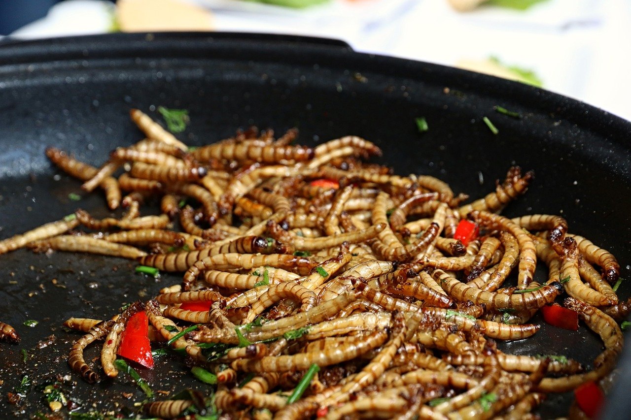 ‘Insecten eten wordt cruciaal in strijd tegen honger’