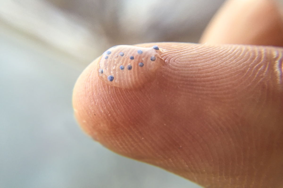 Vervuiling door microplastics mogelijk groter dan gedacht
