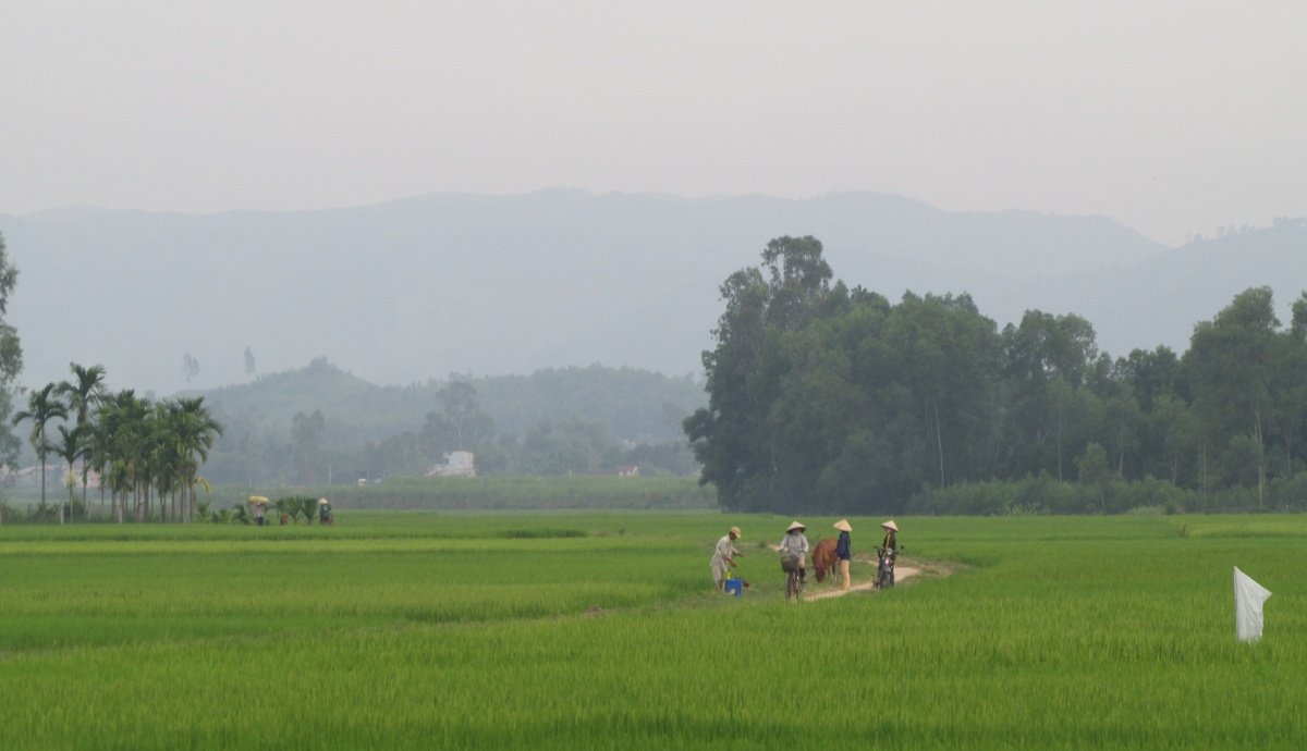 Klimaatverandering leidt tot migratiecrisis in Vietnam