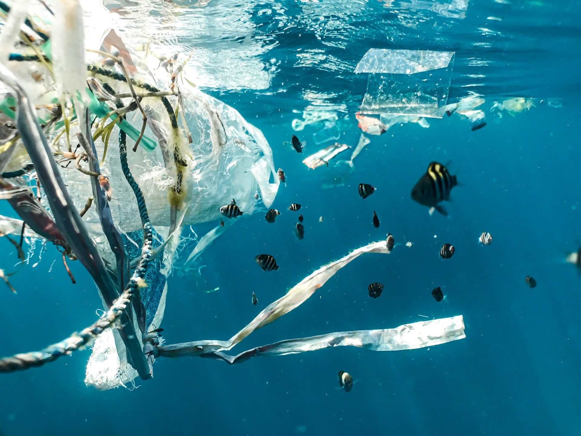 Oceaanbodem is opslagplaats voor plastic afval geworden