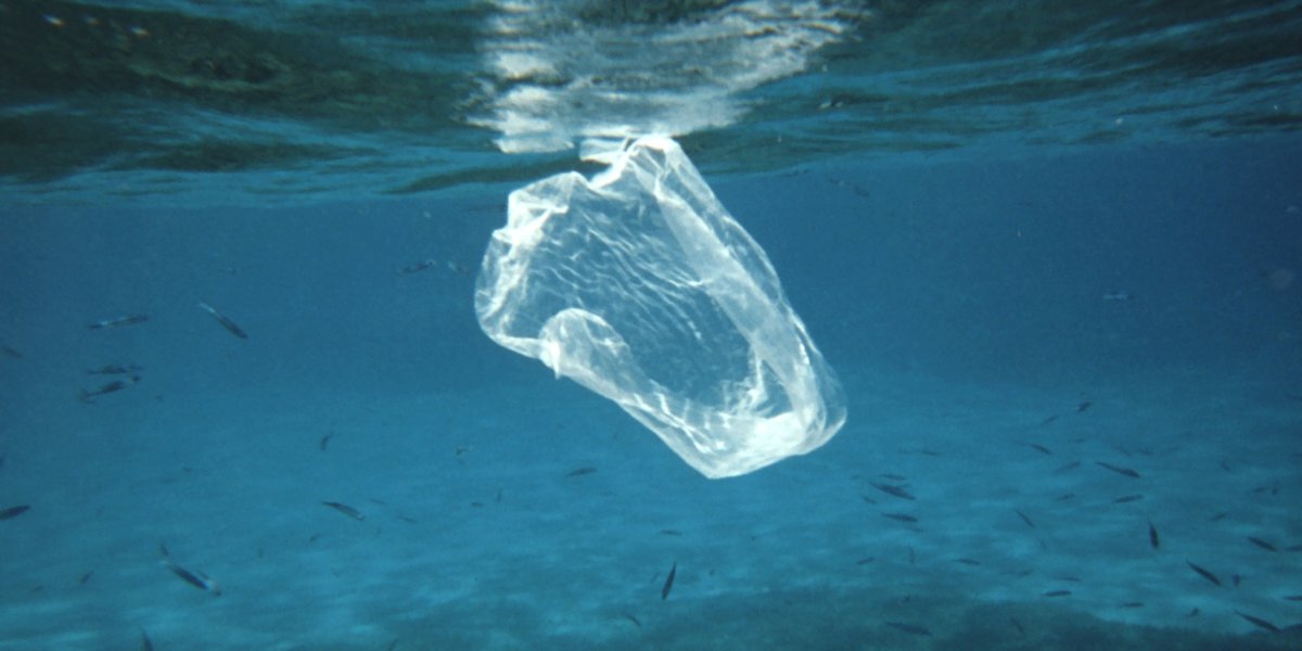 ‘Zuurstofafbreekbaar plastic moet verboden worden’