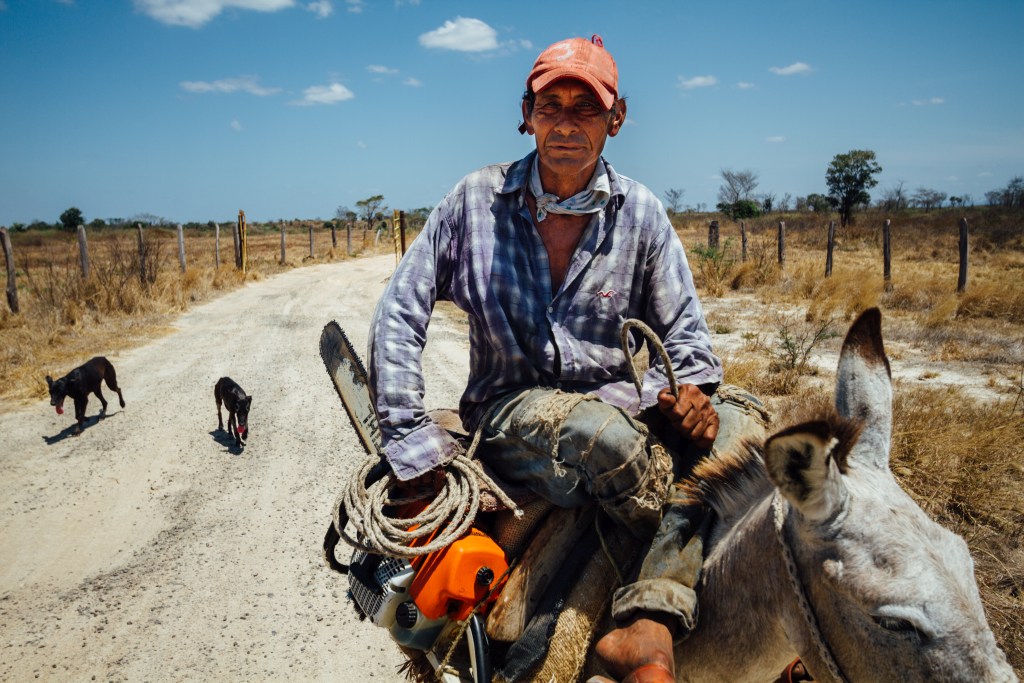 Voor duurzame vrede heeft Colombia sterk platteland nodig