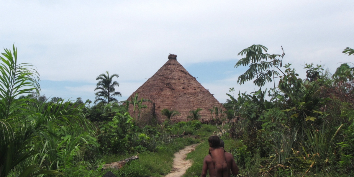 Nieuwe missioneringsgolf brengt inheemse Brazilianen in gevaar