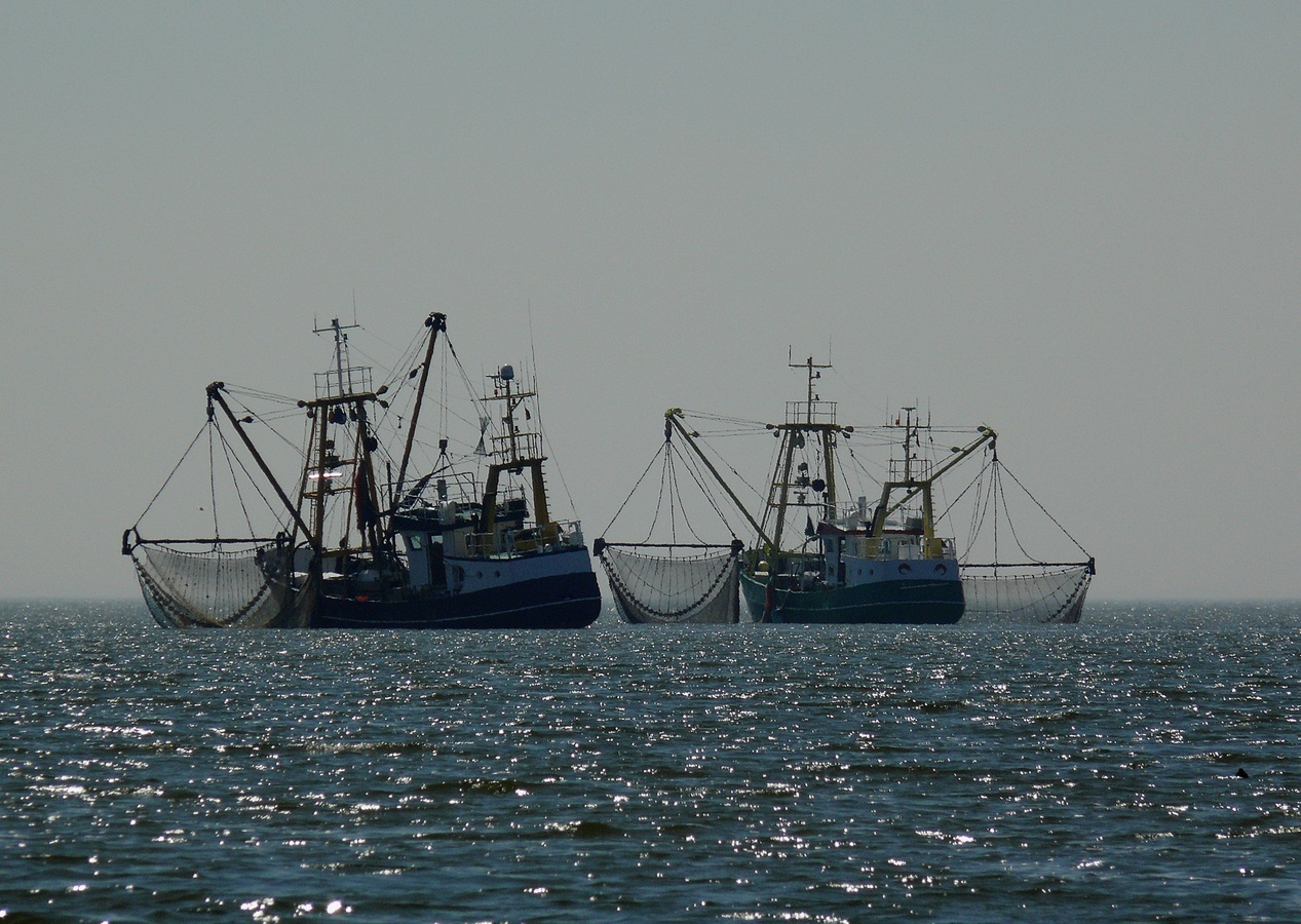 Trawlervisserij maakt CO2 op zeebodem wakker