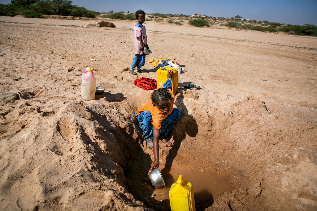 Historische droogte in Somalië: meer dan miljoen mensen zullen migreren