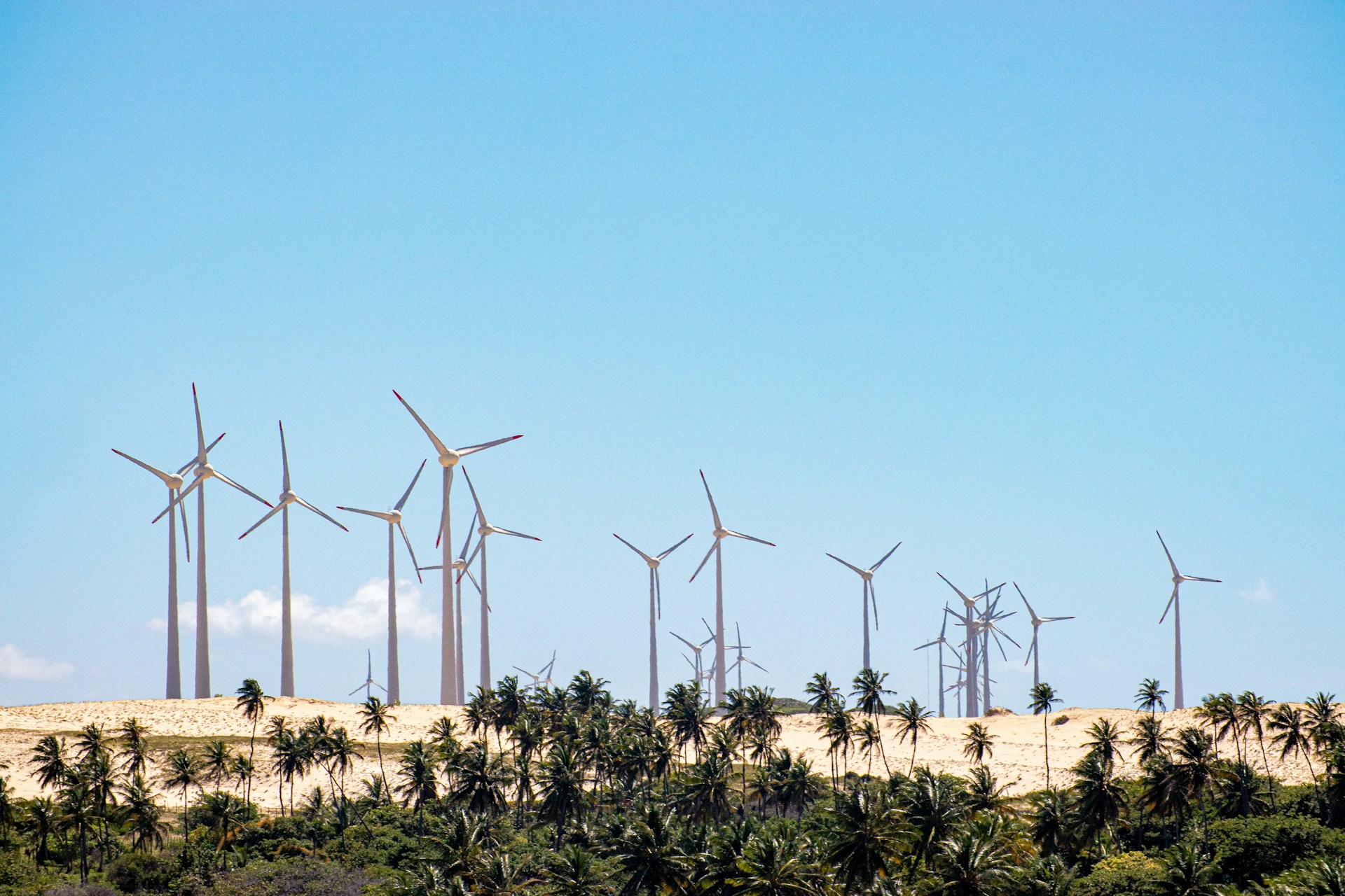 ‘Groene landroof’ in Brazilië voor windmolens en zonnepanelen