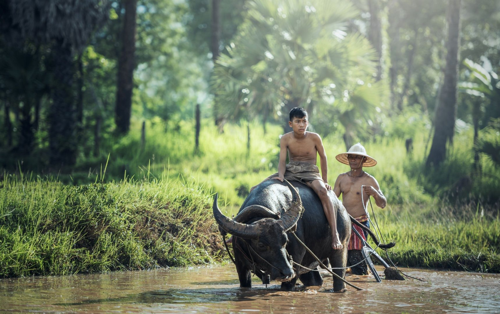 Boeren in Myanmar willen hun land terug