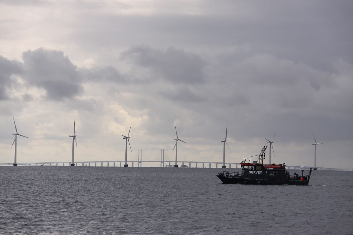 Windmolenparken verhogen CO2-opslag in de zeebodem