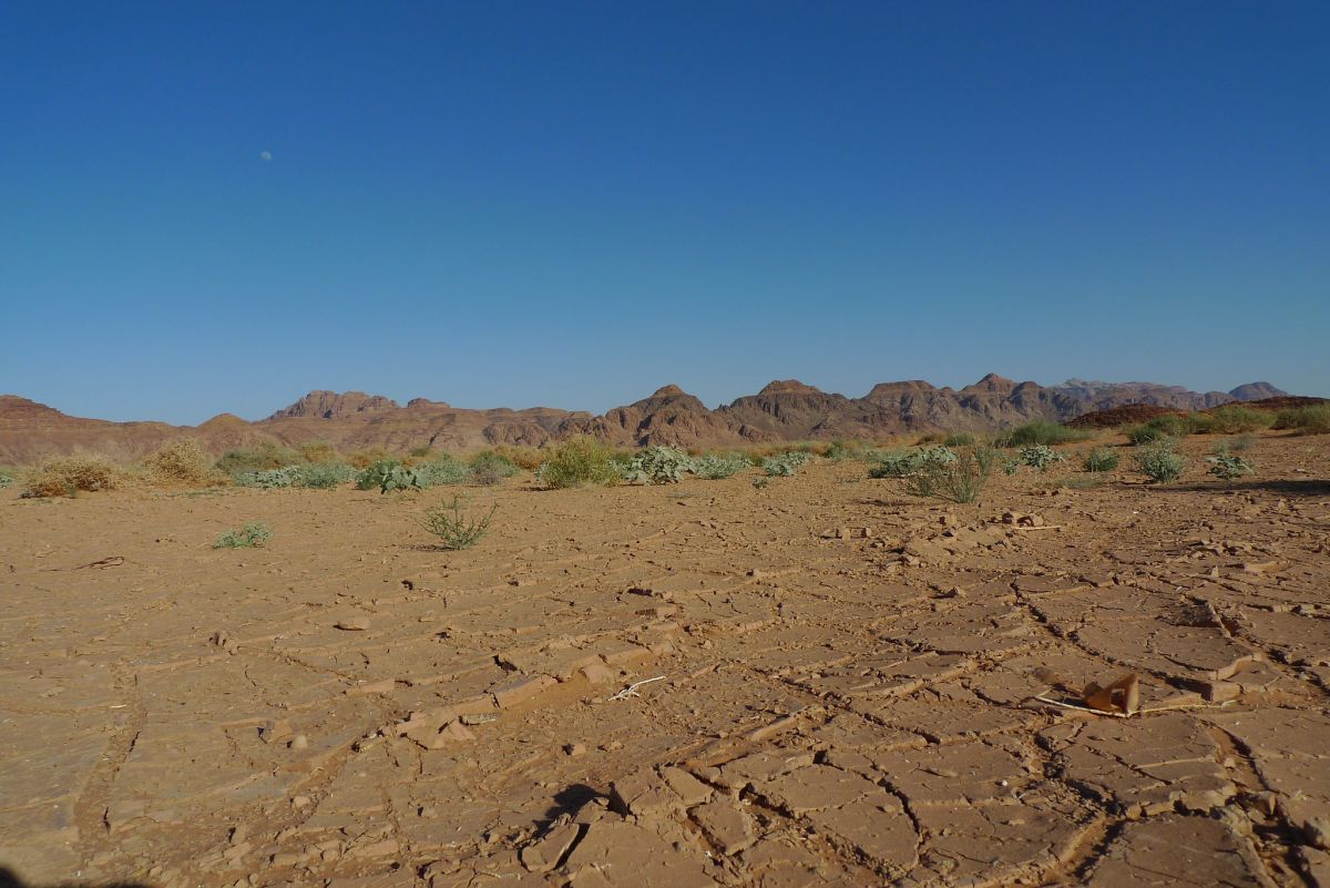 Waarom 40 graden draaglijk is in de woestijn, maar dodelijk in de tropen