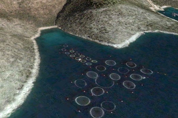 Wetenschappers zetten Google Earth in tegen overbevissing