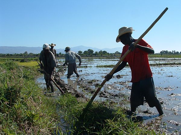 Haïti naar de stembus, na rampjaar