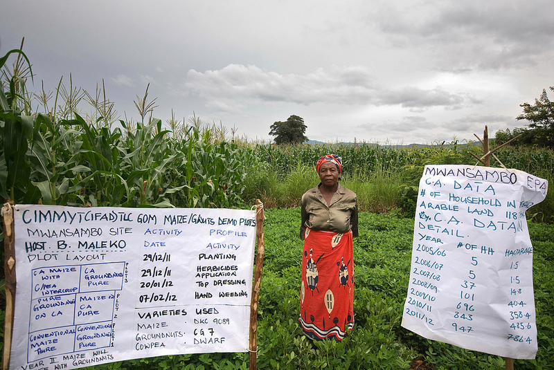 Rijke landen bedreigen Afrikaanse landbouw met hulp
