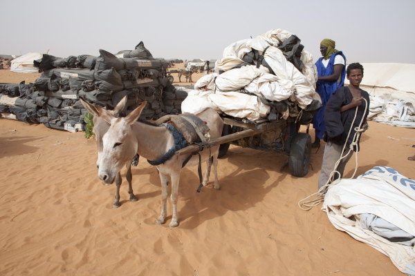 Roep om interventie noord-Mali groeit
