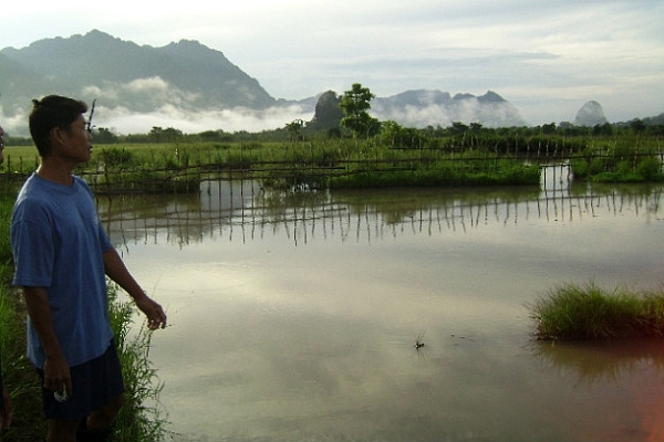 Dammen bedreigen voedselzekerheid in Mekongbekken