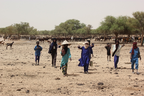 Klimaat speelt Nigerese landbouw en veeteelt parten