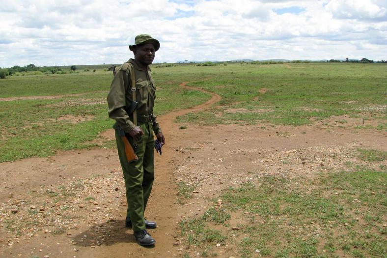 shankar s. (CC BY 2.0)