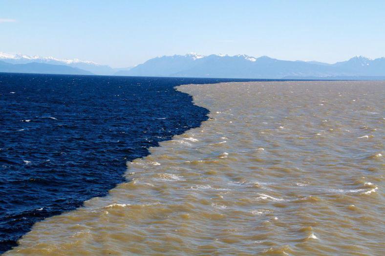 Ocean Networks Canada (CC by-nc-sa 2.0)