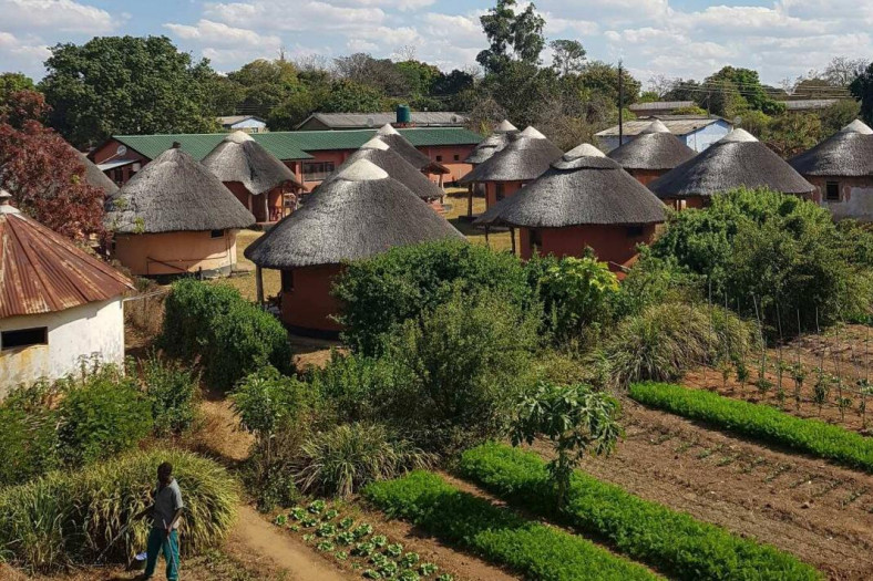 CC Academics for Development