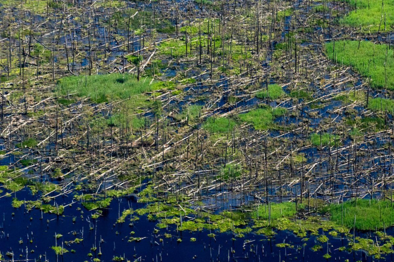 Chesapeake Bay Program (CC BY-NC 2.0)