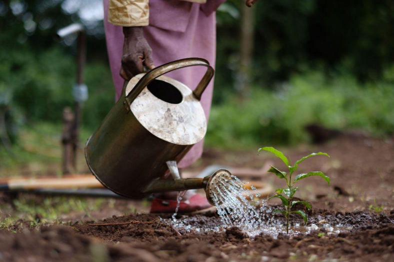 © Ecosia GmbH