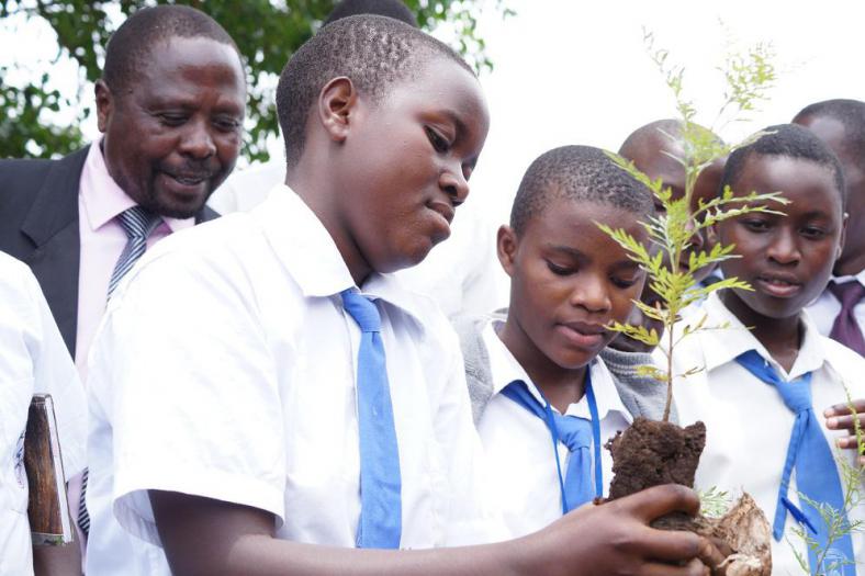Bomen planten in West Oeganda 