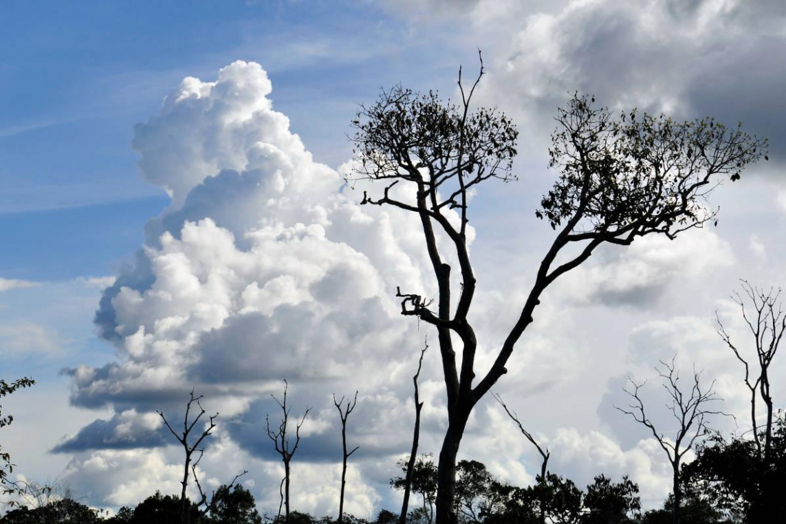 CIFOR (CC BY-NC-ND 2.0)