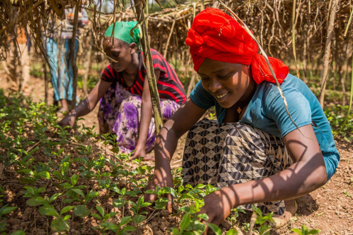 © Fairtrade Belgium