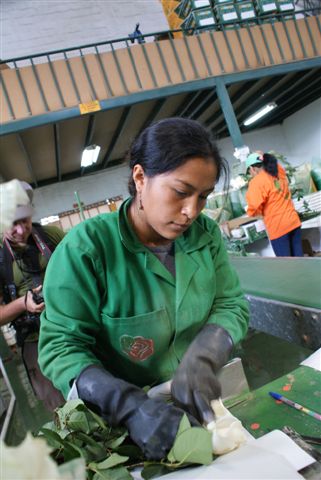 Niet alles rozengeur en maneschijn in Ecuador