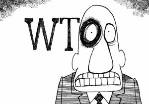 Mislukking WTO kan heilzaam zijn